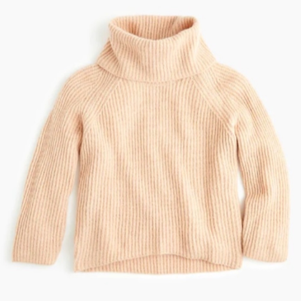 J Crew / Point Sur Pink Turtleneck